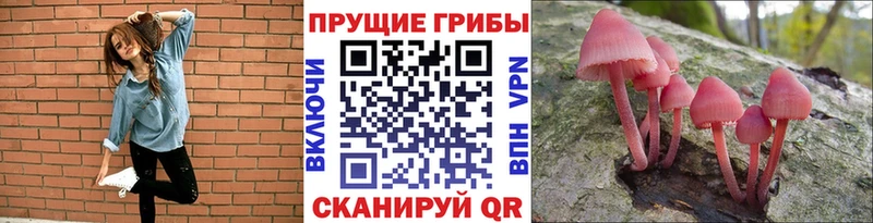 Галлюциногенные грибы Psilocybine cubensis  Купить закладки  Гагарин 