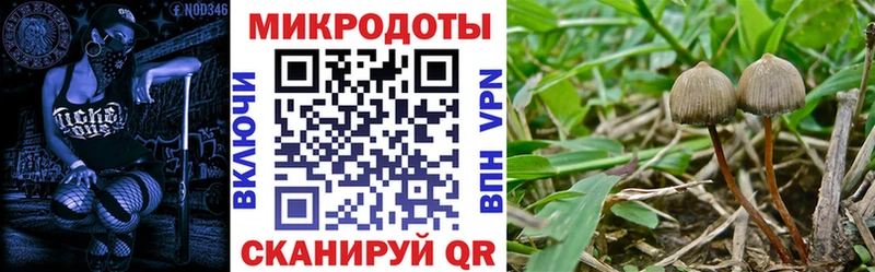 Галлюциногенные грибы MAGIC MUSHROOMS Гагарин